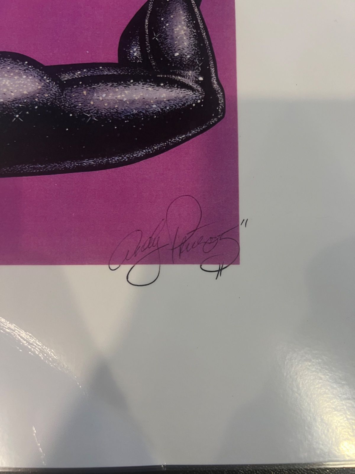 Adam Hughes Catwoman Art Print Signed DC Comics Pin-Up Poster 2