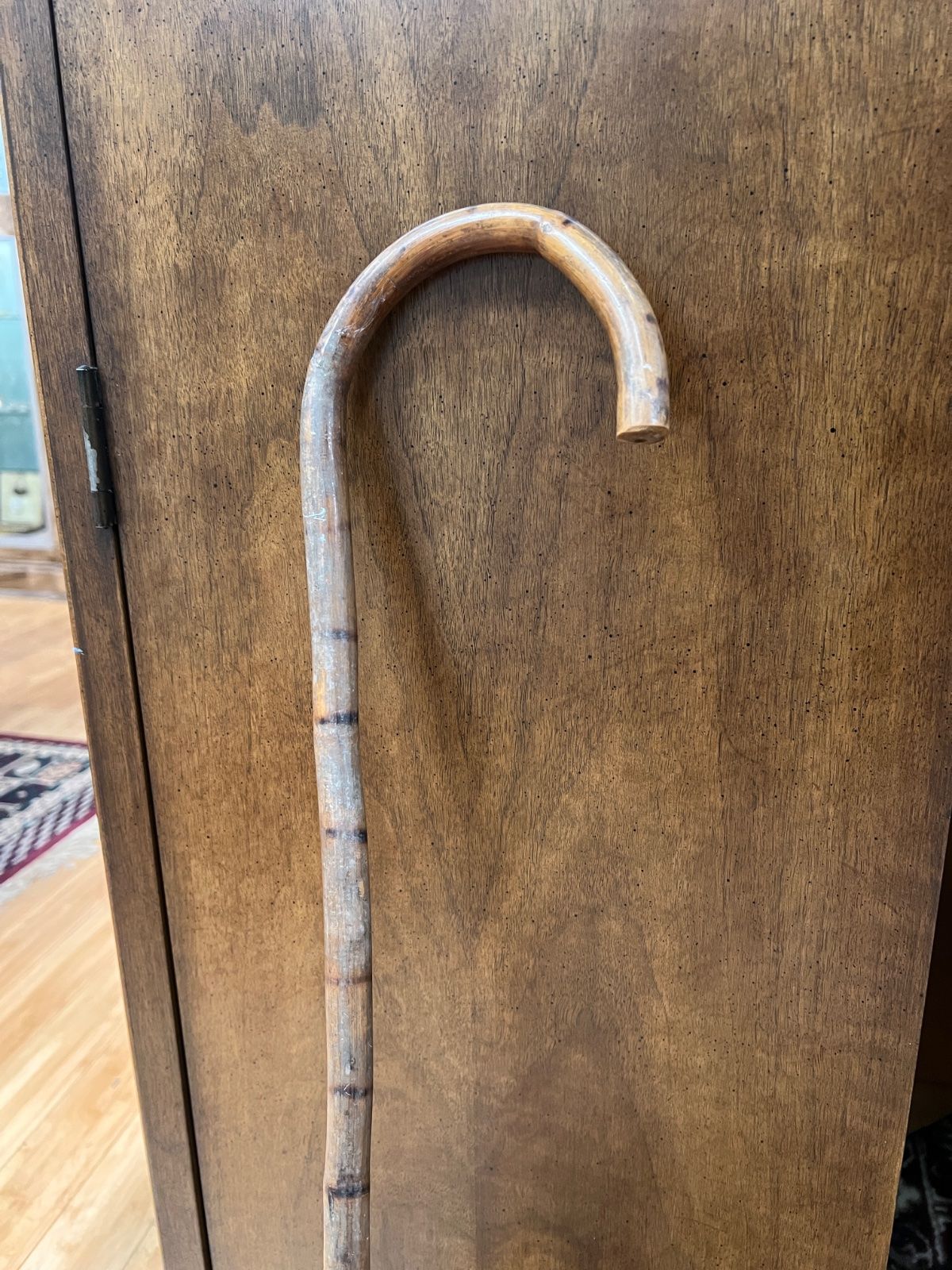 Vintage Walking Cane -nnp 2