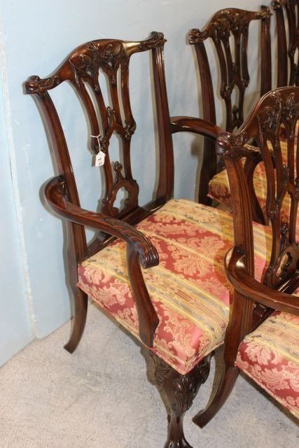 6 Fine Claw and Ball Chippendale Dining Table Chairs 5