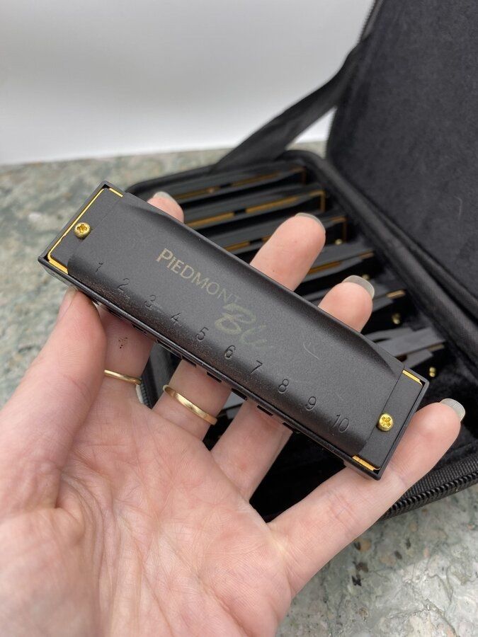 Hohner Set of Various Note/Key Harmonicas + Travel Case 4