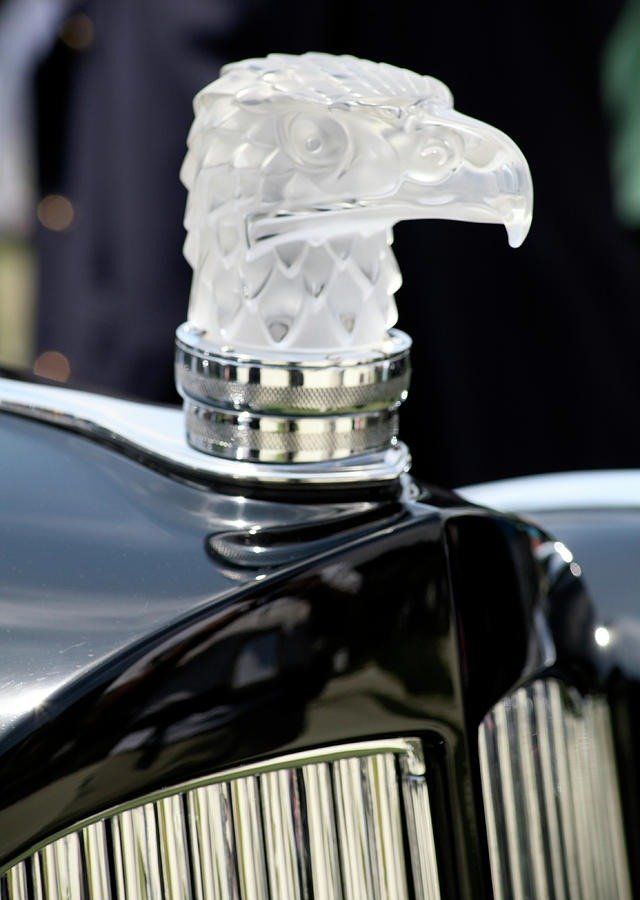 Collectible Antique c.1920s Signed Lalique Frosted Eagle Head Hood Ornament Paperweight 5