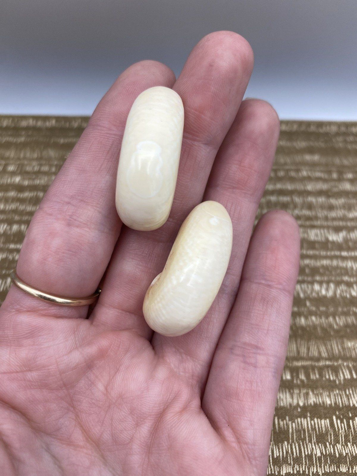 Carved Vintage c.1940s/50s Curved Bone Lobe Drop Earrings w 14k Gold Stud Posts 3