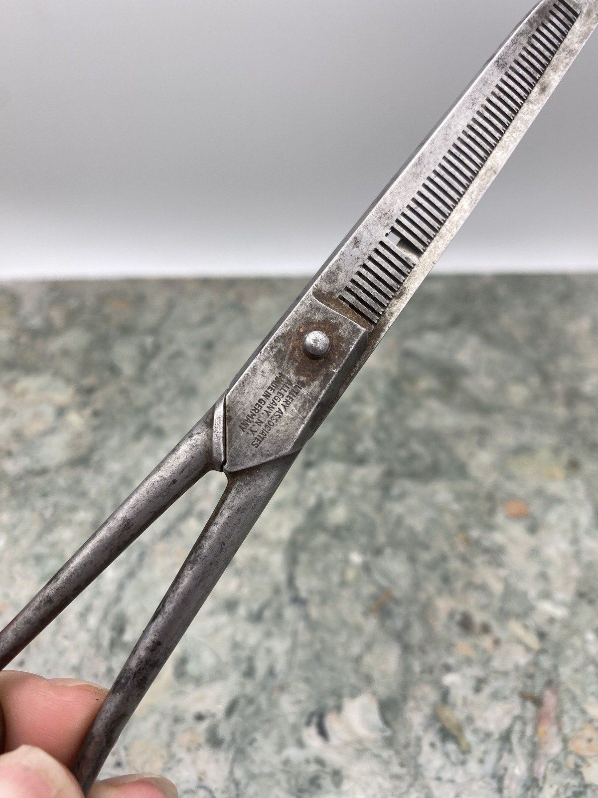Vintage German Made Barber Scissors 2