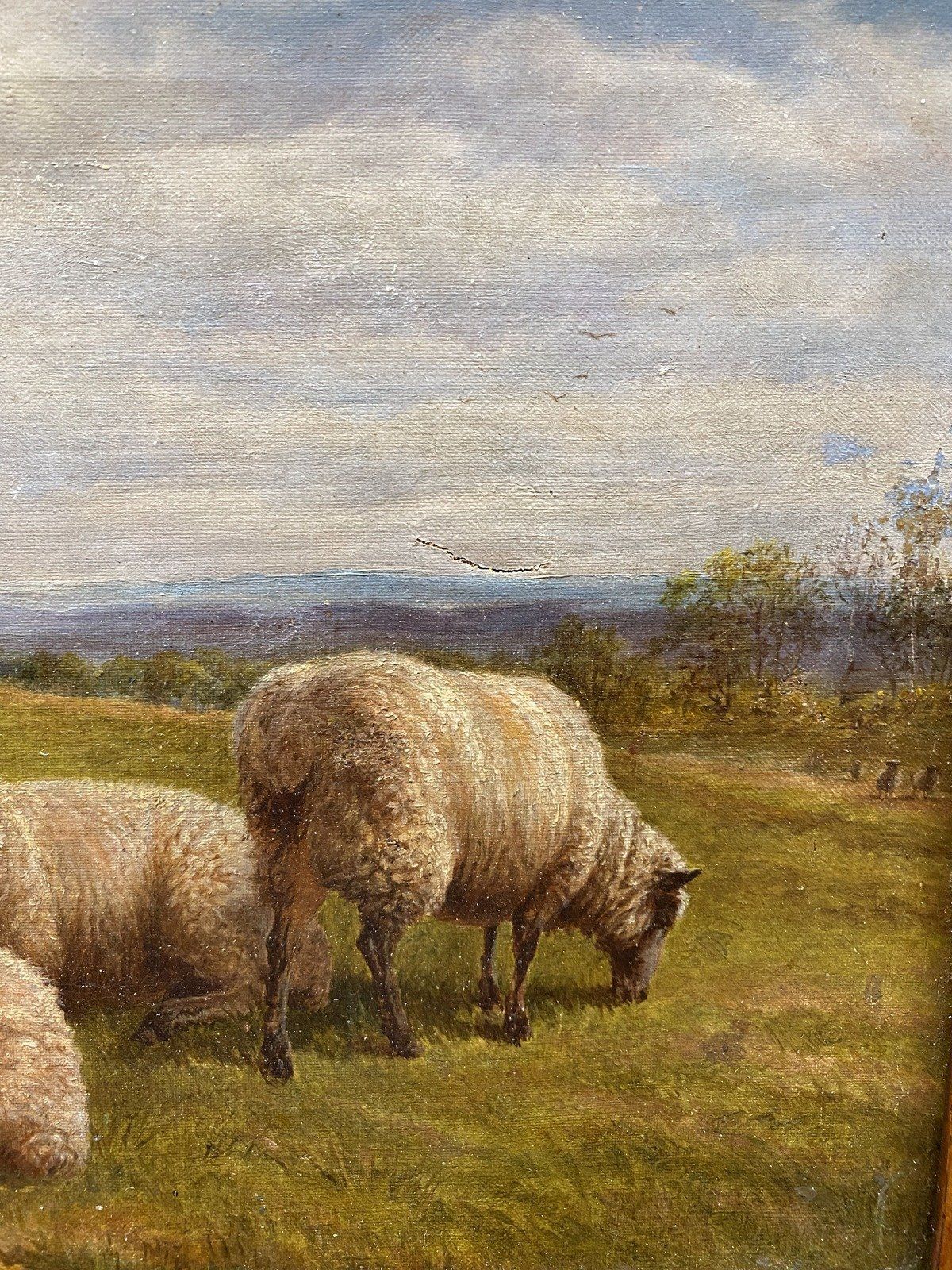 Antique Original c.1889 Pastoral Painting of Sheep on Board #268 3