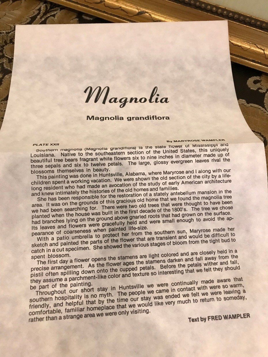 Large Print of Magnolia w/ Certificate 9