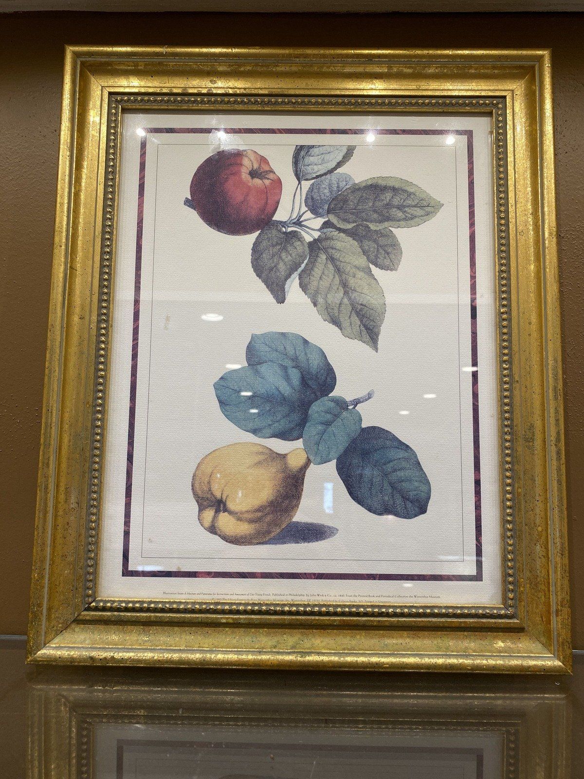 Gold Framed Fruit Prints of Pears 16x13.5 2