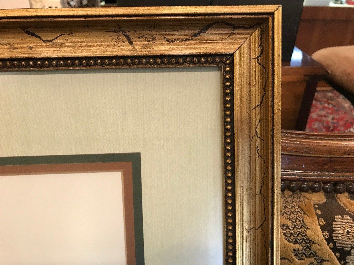Large Print of Magnolia w/ Certificate 6