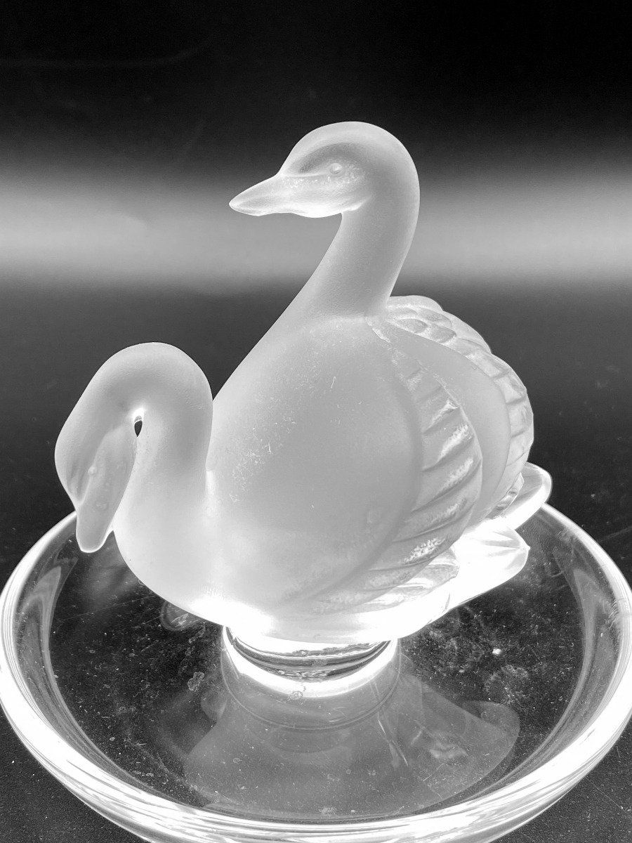 Lalique Swans 2