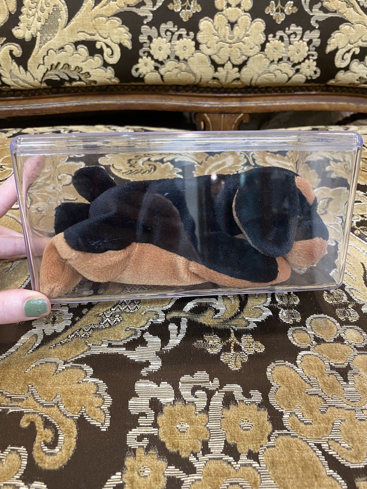 Special !*Two-Tailed*! Mis-Make Ty Doberman Pinscher Puppy Dog Beanie Baby 10