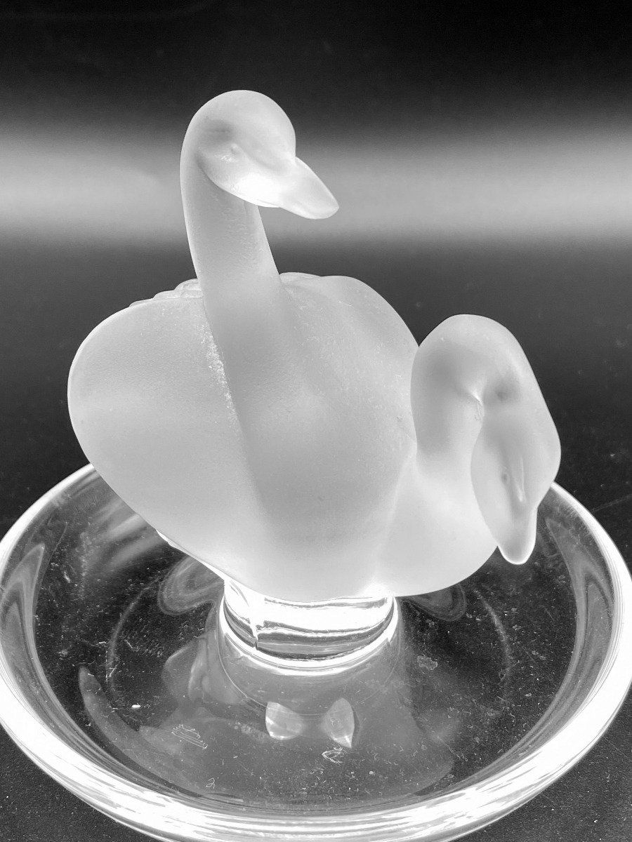 Lalique Swans 3