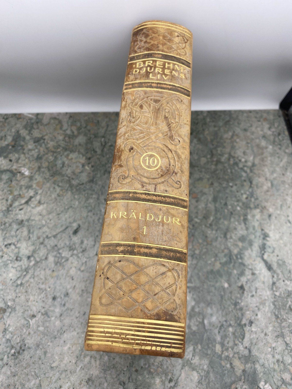 Swiss Brehm Djurens Liv - Snake Edition Encyclopedia Book 2