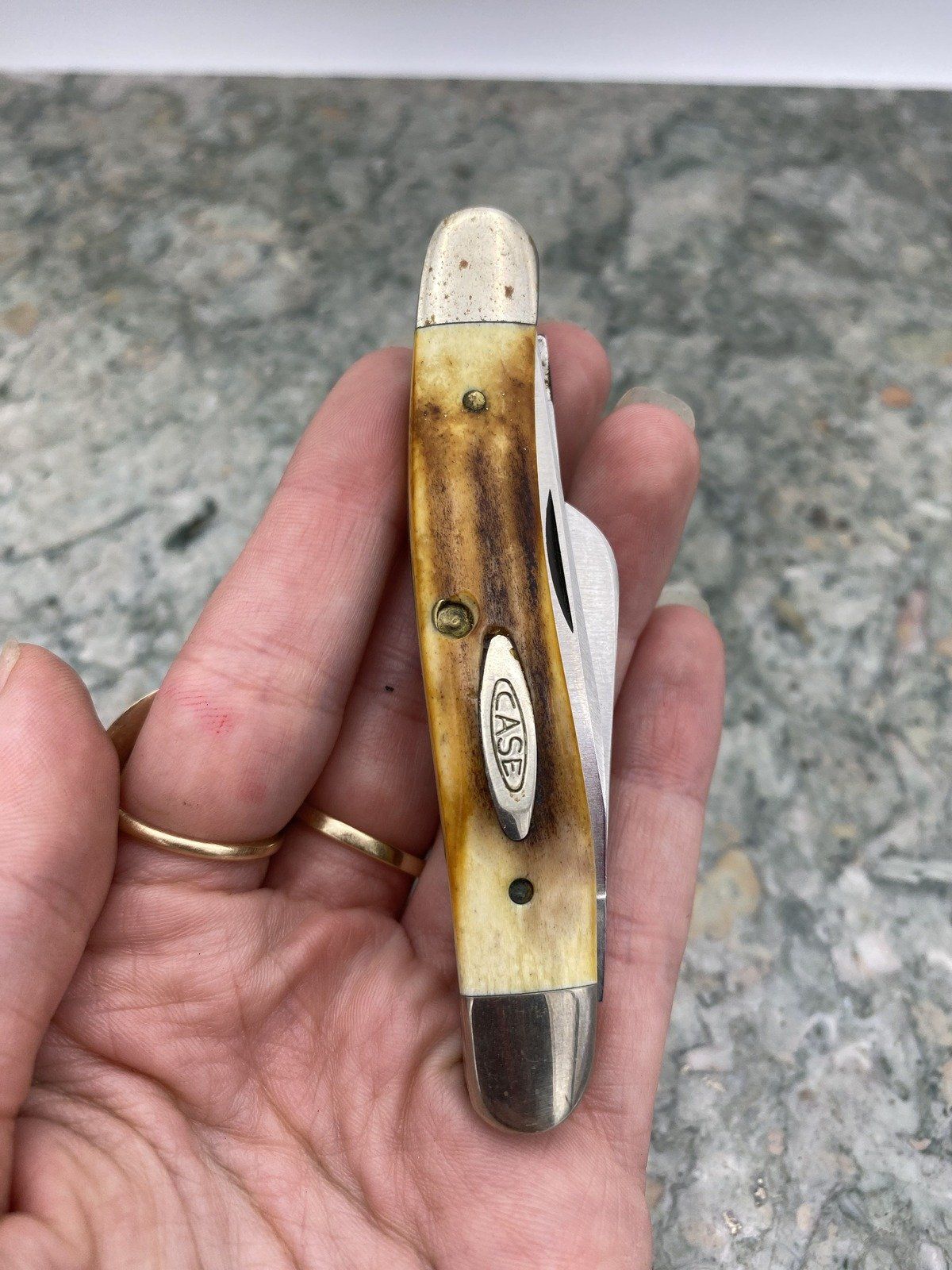 Vintage CASE XX c.1980-1905 75th Anniversary Edition 3 blade Stag Handle Knife 4