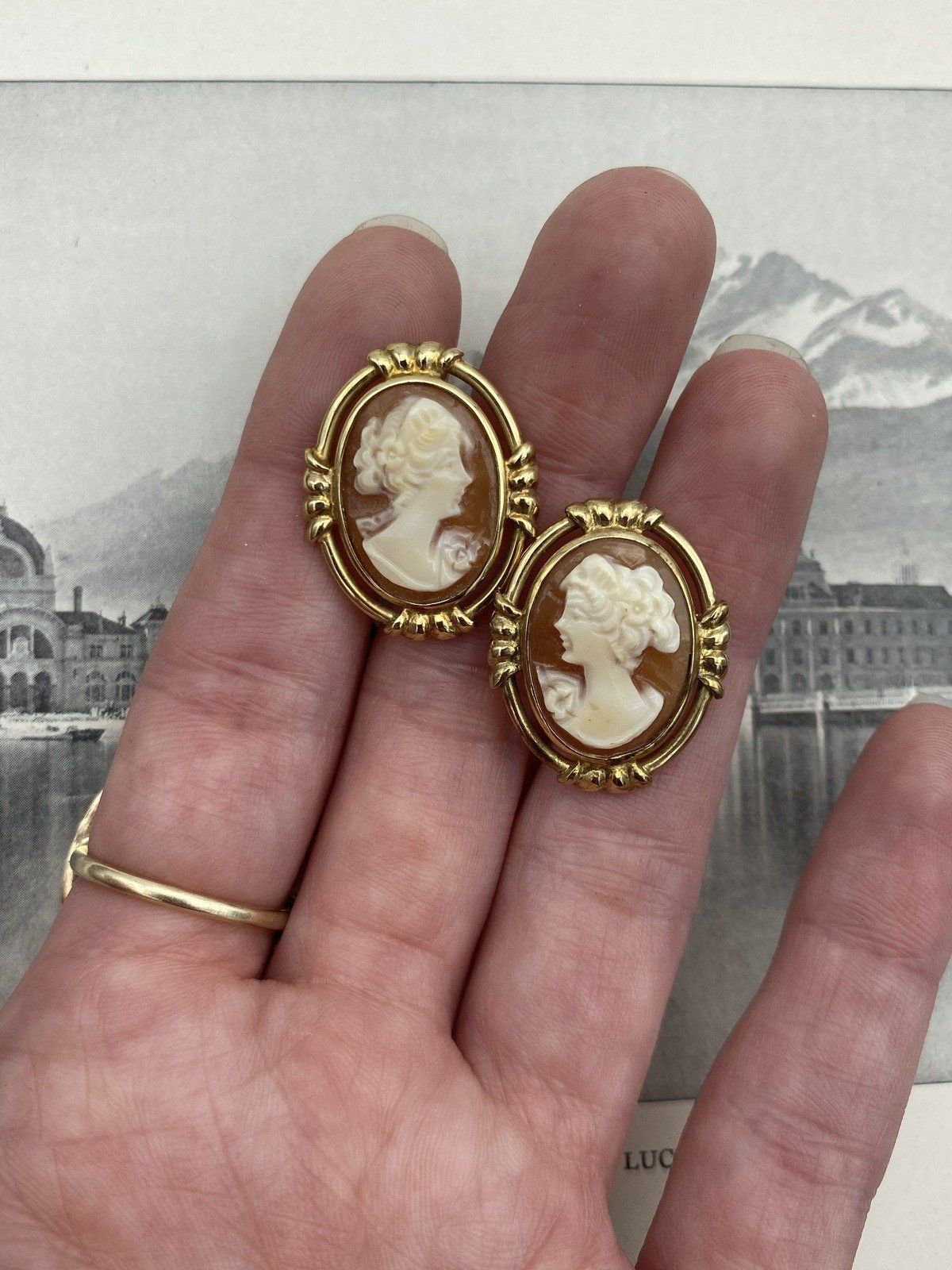 Vintage 14k Gold 1 Shell Carved Cameo Portrait Stud Earrings w Artly Molded Bezels 5