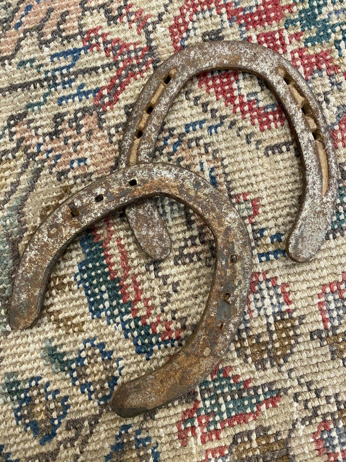 Old Horse Shoes 2