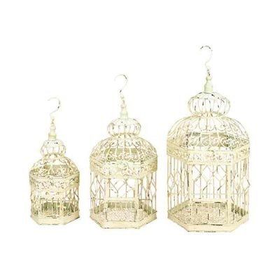 Decorative Bird Cages