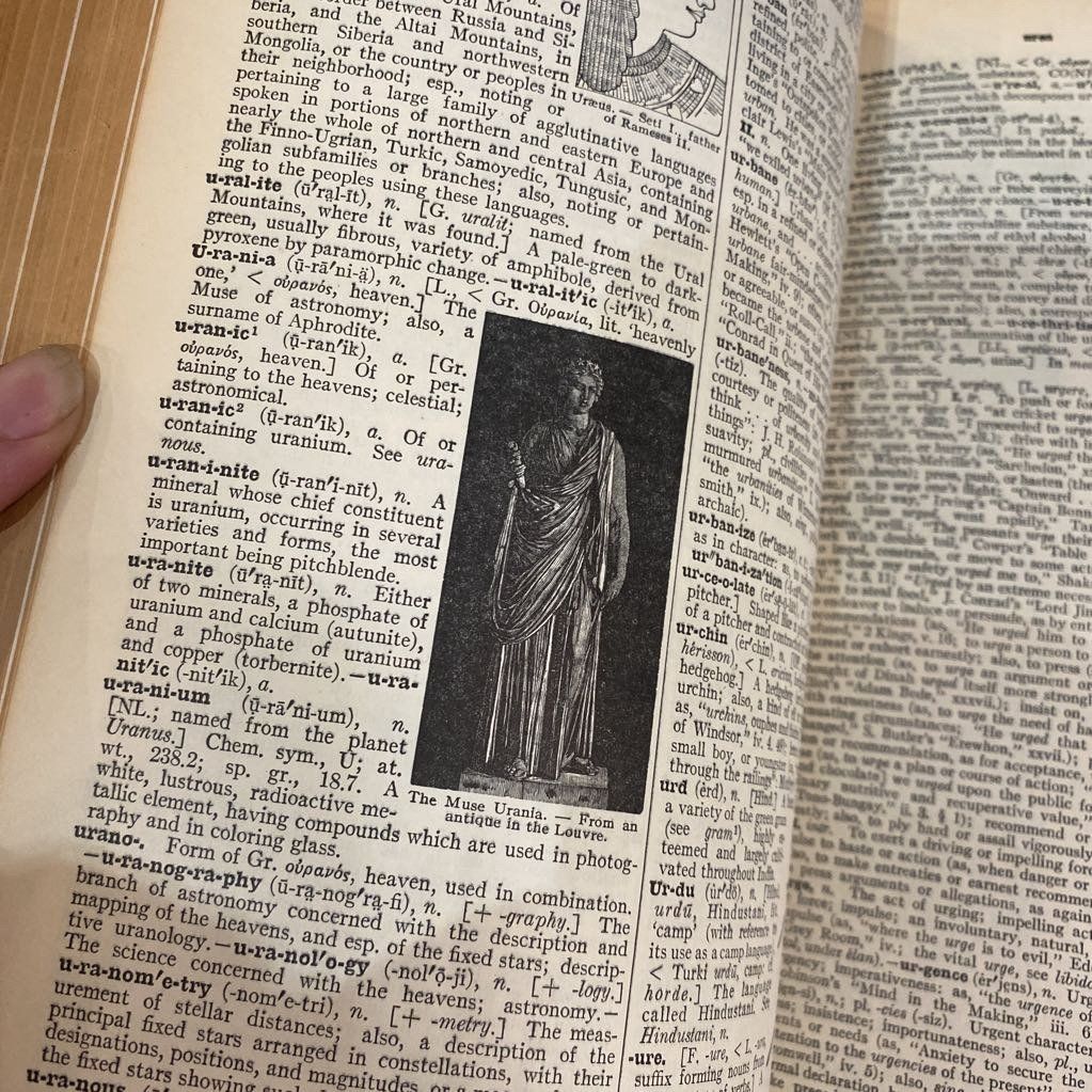 Vintage c.1938 The New Century Dictionary w Illustrations 3