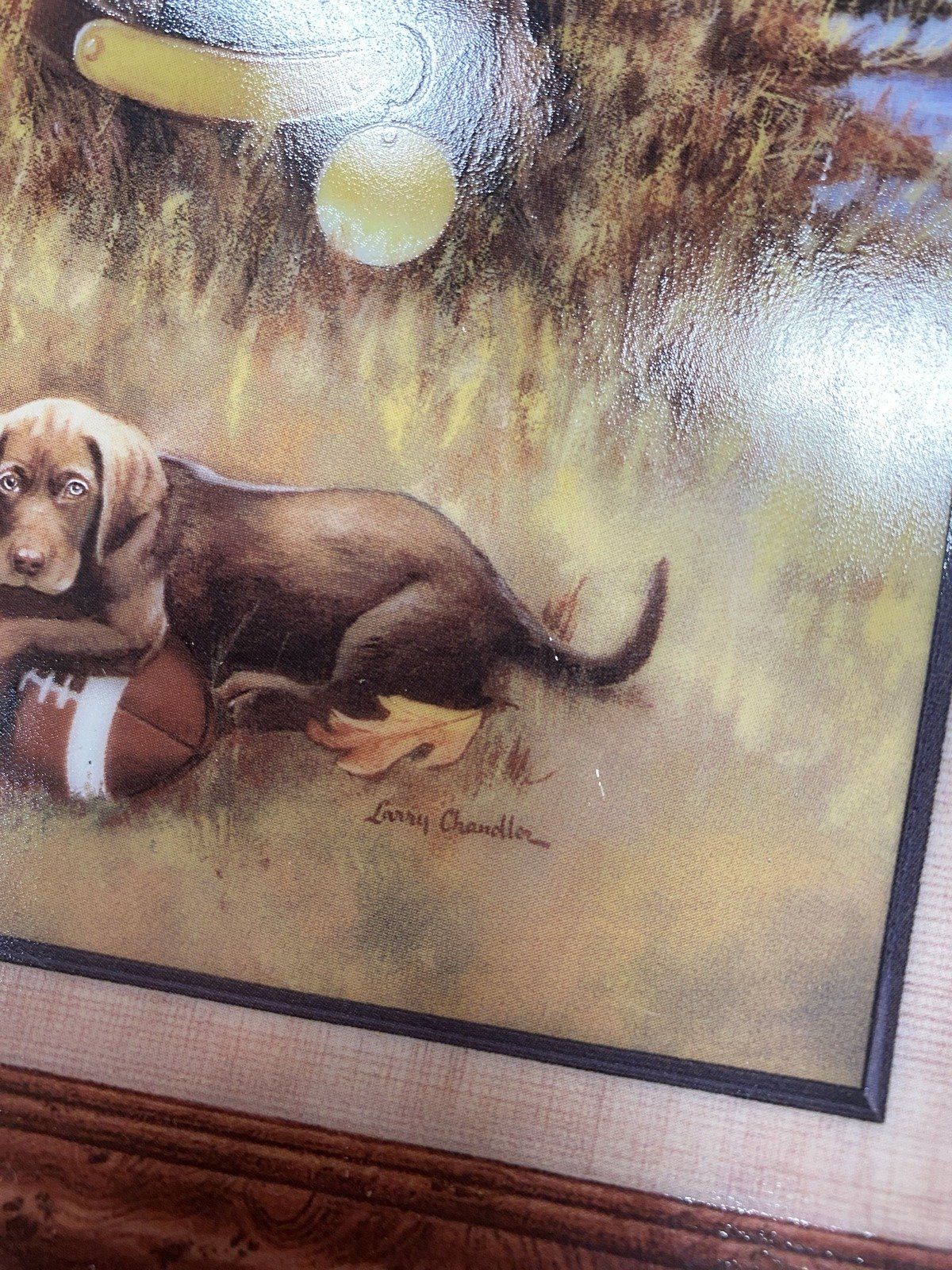 Rectangular Franklin Mint Porcelain Chocolate Lab + Football Motif Collectors Plate 4