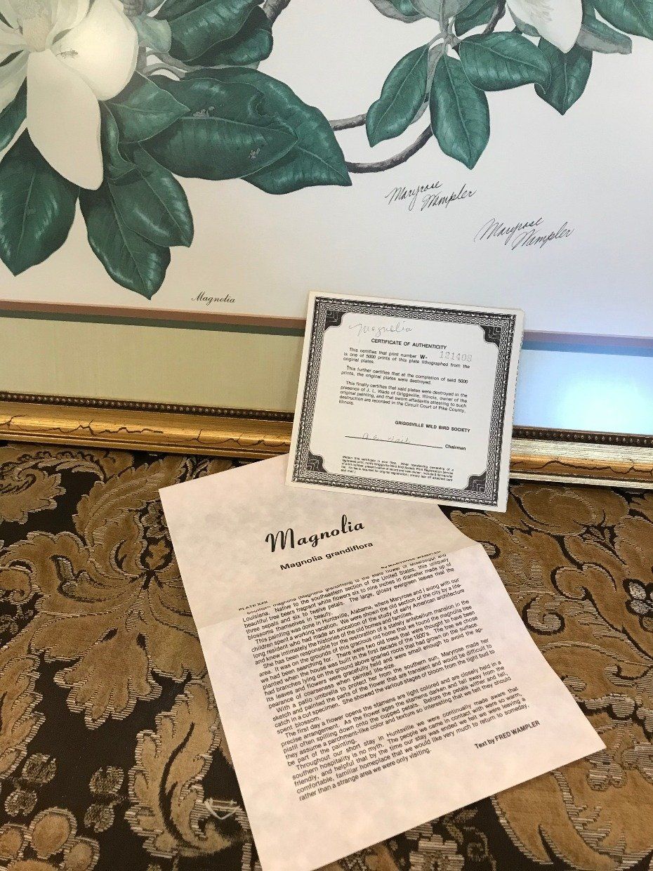 Large Print of Magnolia w/ Certificate 3