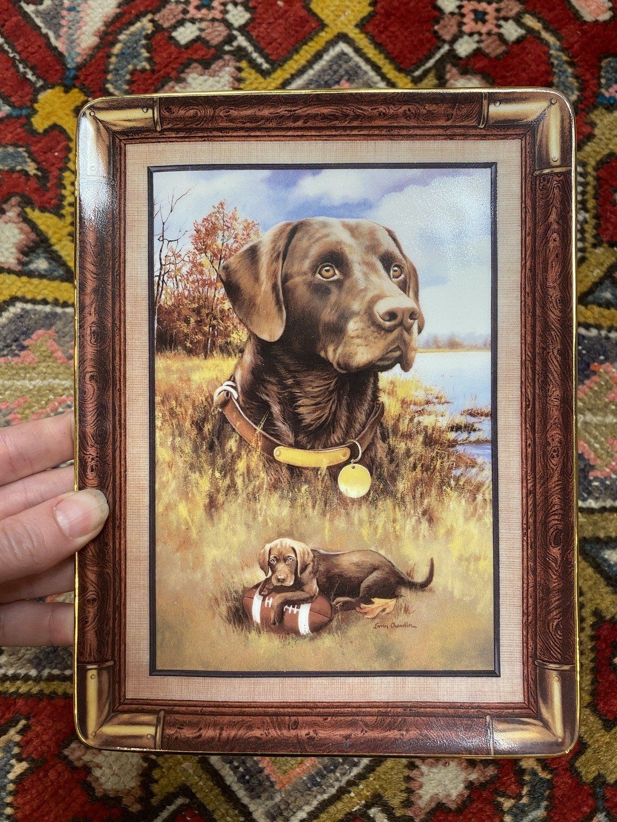 Rectangular Franklin Mint Porcelain Chocolate Lab + Football Motif Collectors Plate 2