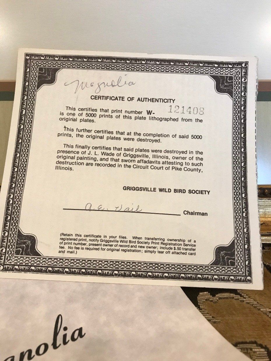 Large Print of Magnolia w/ Certificate 7