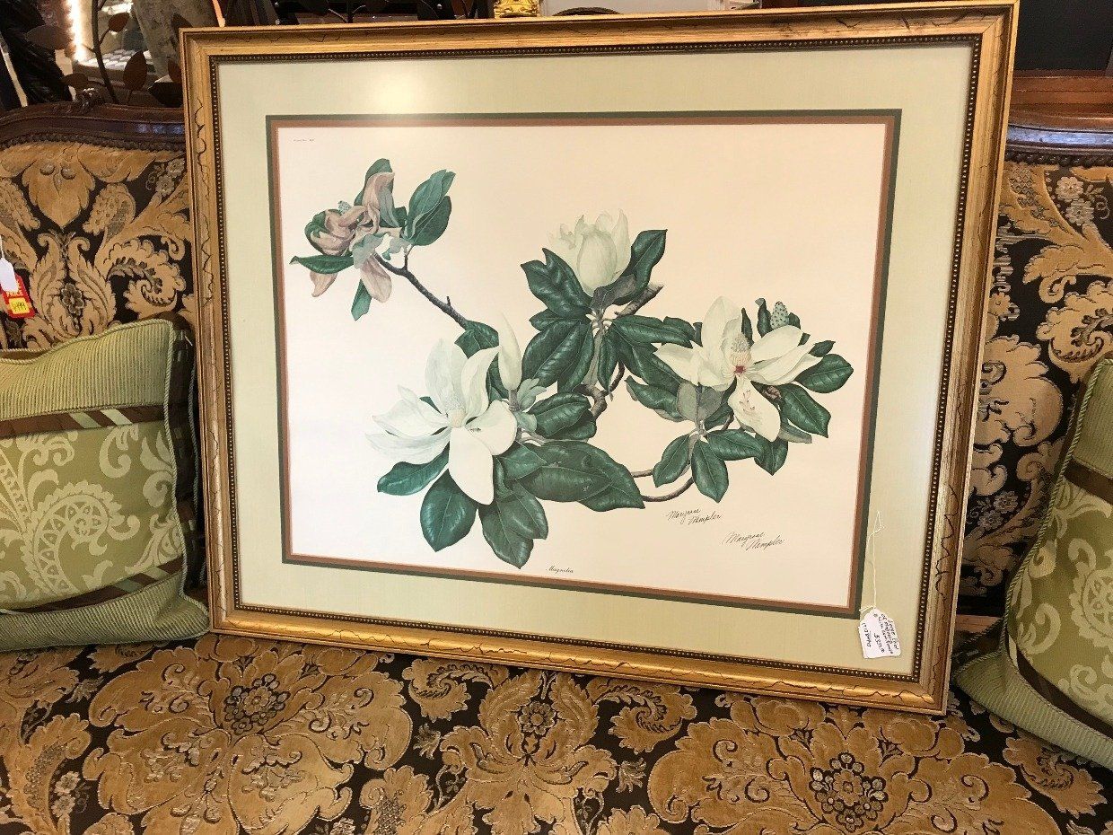 Large Print of Magnolia w/ Certificate