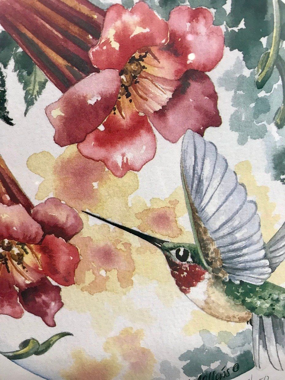 Artist Signed Deb Collins Hummingbird + Trumpet Flower No.997/1950 Watercolor Pring 2