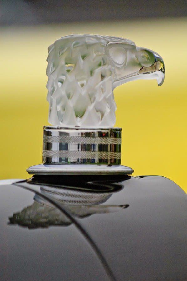 Collectible Antique c.1920s Signed Lalique Frosted Eagle Head Hood Ornament Paperweight 11