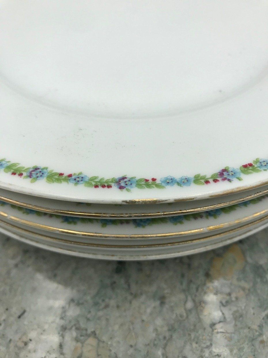 JHR Hutschenreuther Selb Bavaria Floral Garland + Gilt Rim Salad Plates 2