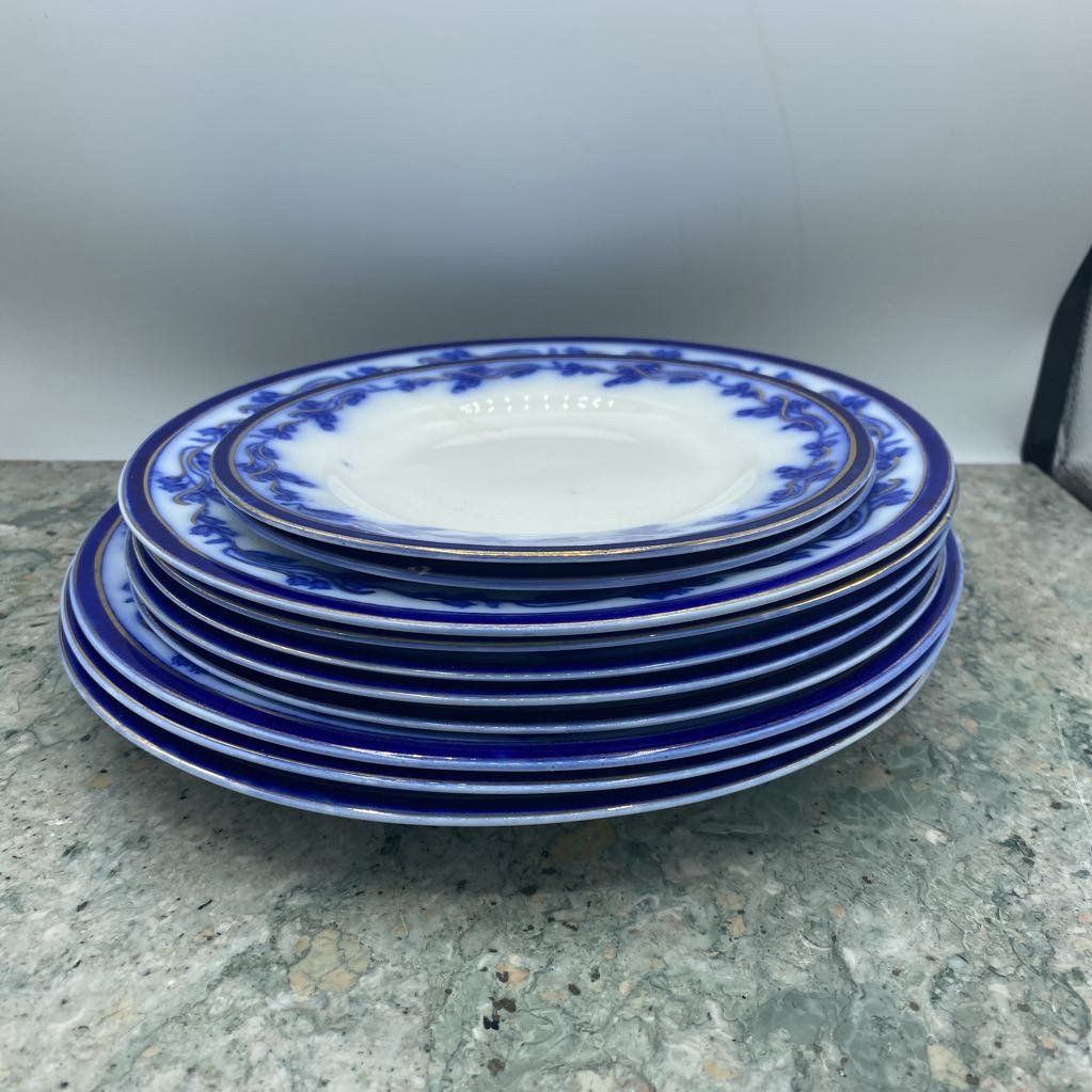 Set of 10x J G Meakin Hanley England Plates 616