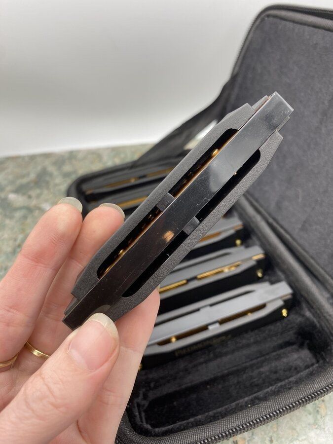 Hohner Set of Various Note/Key Harmonicas + Travel Case 2