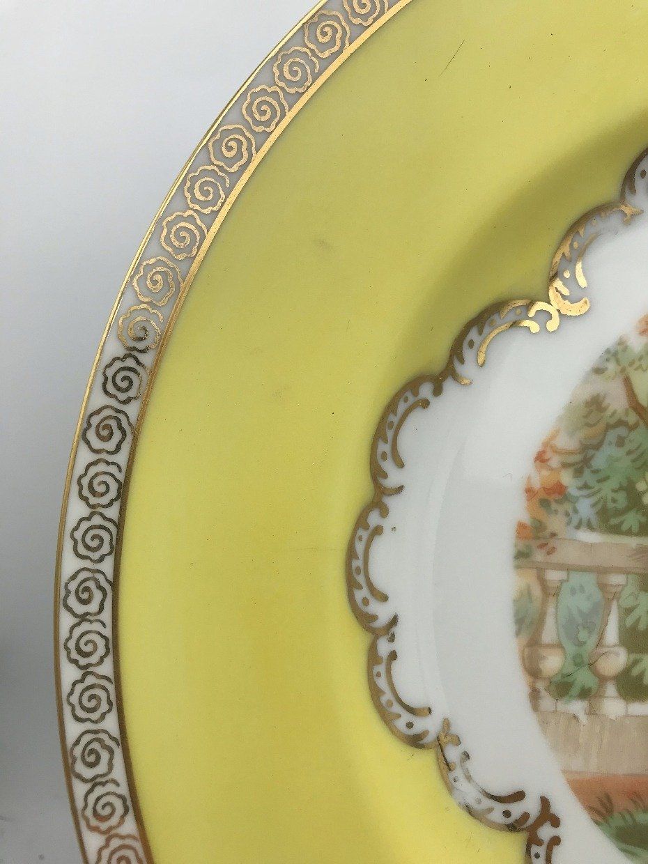 Epiag Royal Czechoslovakian Porcelain Bohemian Yellow Portrait Plate 3