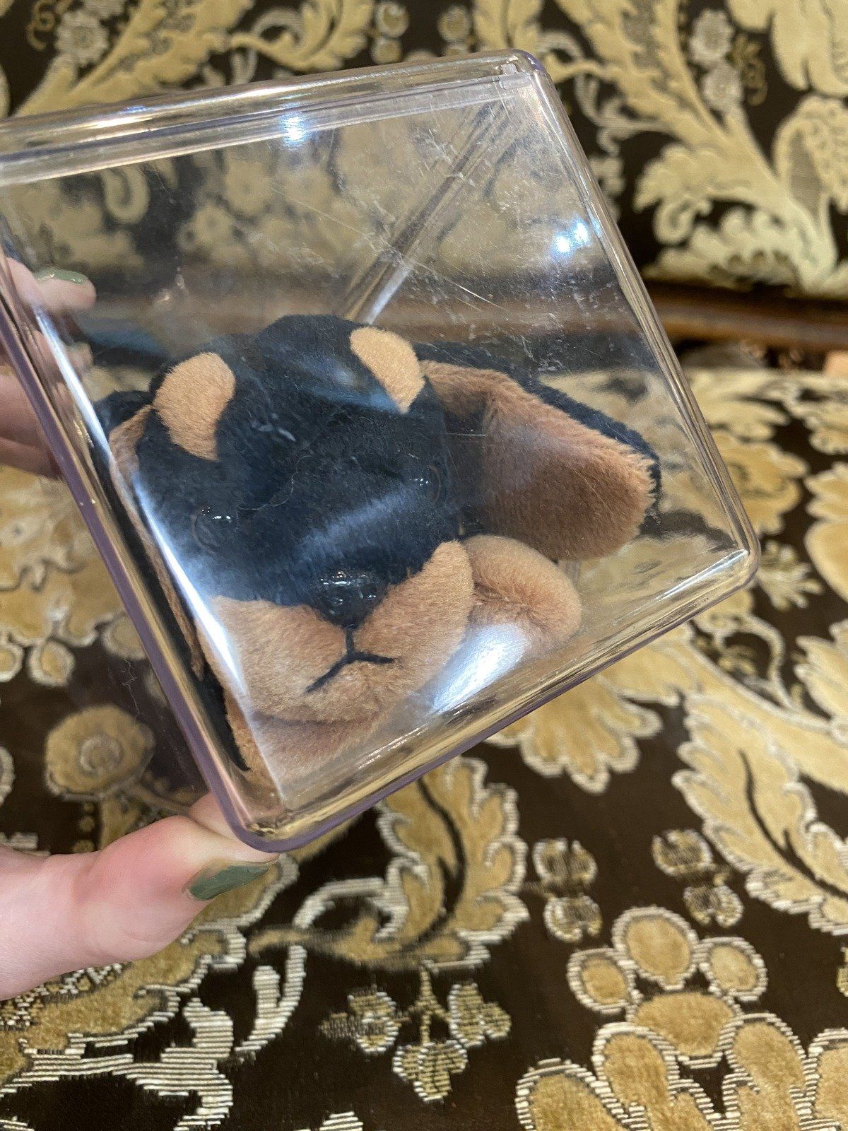 Special !*Two-Tailed*! Mis-Make Ty Doberman Pinscher Puppy Dog Beanie Baby 4